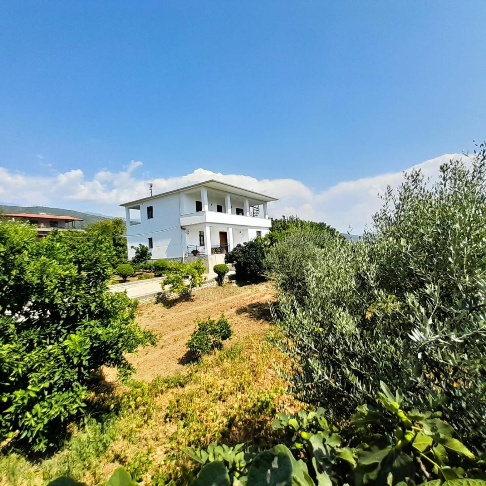 Villa Besart Berat Zewnętrze zdjęcie