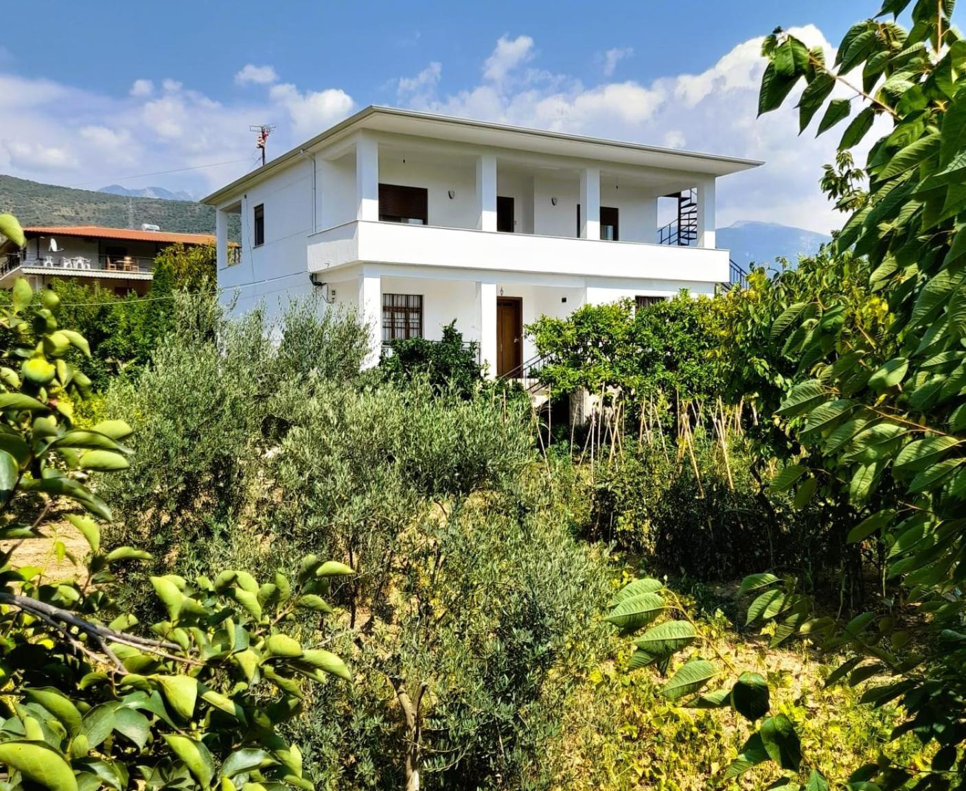 Villa Besart Berat Zewnętrze zdjęcie